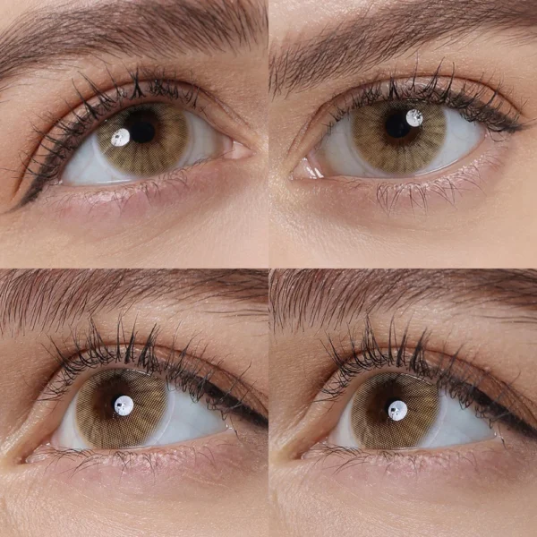 AYLA HIDROCOR AVELA BROWN | 1 YEAR - Image 2