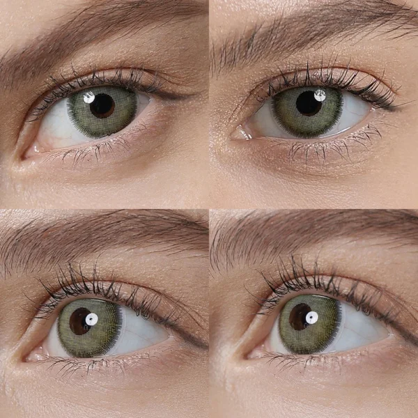 AYLA PREMIUM GREEN | 1 YEAR - Image 2